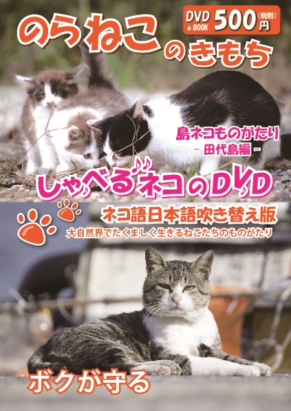 「のらねこのきもち」しゃべるネコのDVD