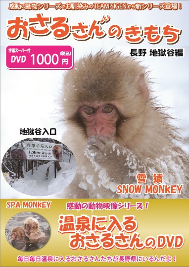 温泉に入るおさるさん 長野 地獄谷 SPA Monkey DVD